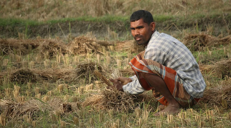 मध्यप्रदेश ने कृषि उत्पादन के क्षेत्र में उल्लेखनीय उपलब्धि हासिल की