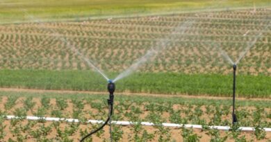 एमपी में सिंचाई के 100 हेक्टेयर रकबे के लक्ष्य को जल्द करेंगे हासिल