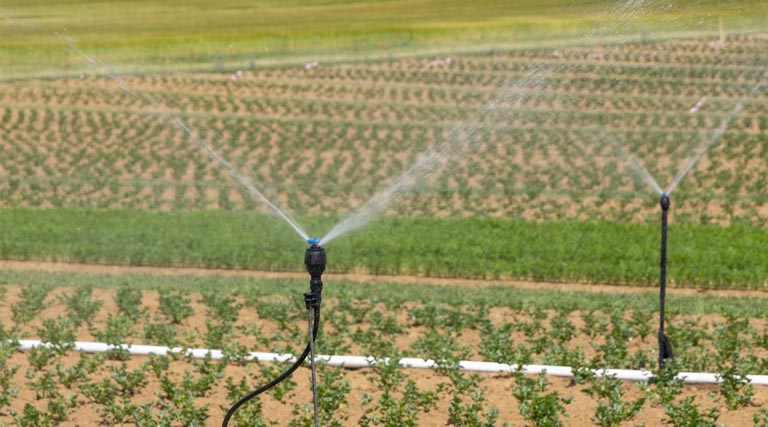 एमपी में सिंचाई के 100 हेक्टेयर रकबे के लक्ष्य को जल्द करेंगे हासिल