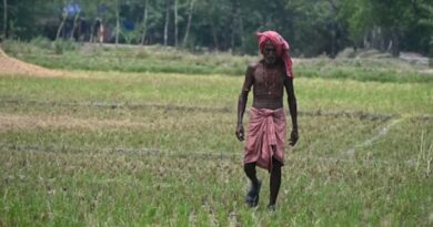 एमपी में फसल विविधिकरण को प्रोत्साहन इसलिए ये सरकार की योजना