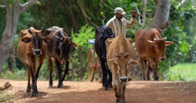 स्वदेशी गौवंश आनुवंशिकी एवं जीनोमिक्स हेतु इंटीग्रेटेड सेंटर ऑफ एक्सीलेंस का विधिवत उद्घाटन