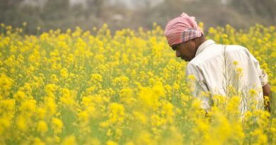 छिंदवाड़ा में तीन दिवसीय कृषि मेला एवं मिलेट फूड फेस्टिवल का शुभारम्भ आज