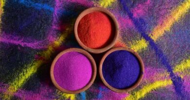 ग्रामीण हाट बाजार में दो दिवसीय होली मेला 28 फरवरी से