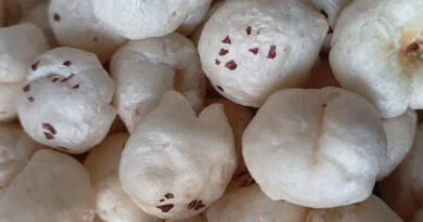 बिहार में मखाना उत्पादन करने वाले किसानों को दिया जाएगा प्रशिक्षण