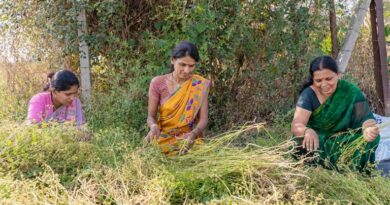 महाराष्ट्र की सरकार महिला किसानों को देगी आधुनिक खेती की ट्रेनिंग