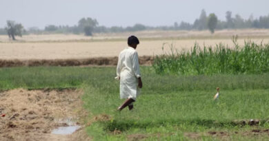 रायपुर : कोरबा में आज सजेगा ’कृषक उन्नति योजना’ का मंच, किसानों को मिलेगी सौगात