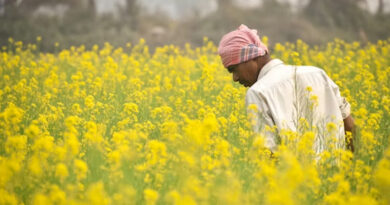 बिहार सरकार का बजट: किसानों के लिए राहत देने का ऐलान