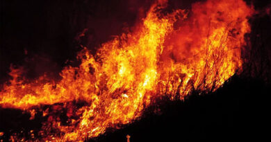 छिंदवाड़ा में नरवाई जलाने पर एक व्यक्ति के विरुद्ध एफआईआर दर्ज