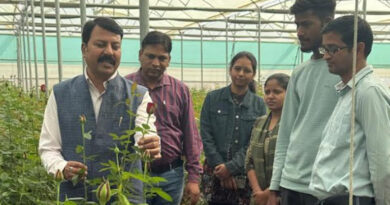 पांढुर्ना: रामदास को पॉली हाउस में गुलाब की खेती से हो रही साल भर आय