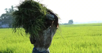 छिंदवाड़ा: आधुनिक कृषि तकनीक का प्रचार कर रहा कृषि रथ