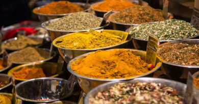 इंदौर में आधुनिक एवं नई टेक्नोलॉजी की मशीनों की 3 दिवसीय एक्ज़ीबिशन आज से