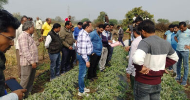 झाबुआ: असामयिक वर्षा से प्रभावित हुई फसल का किया अवलोकन