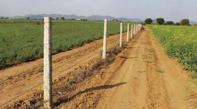 खेतों की तारबंदी के बाद फसलें हुई सुरक्षित! किसान दुर्गालाल को मिली तारबंदी योजना में 40 हजार रुपए की सब्सिडी