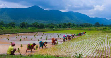 प्रधानमंत्री–राष्ट्रीय कृषि विकास योजना: उद्यानिकी फसलों में सेंसर बेस्ड ऑटोमेशन सिस्टम के लिए आवेदन आमंत्रित  