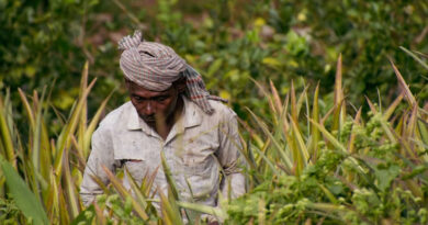 बिहार के किसानों को सम्मान निधि के साथ मिलेगी अतिरिक्त आर्थिक सहायता