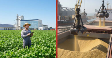 मॉडिफाइड सोयामील के आयात को लेकर एक बार फिर बहस तेज