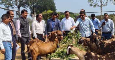 छिंदवाड़ा: रघुवंशी ने बकरी पालन को बनाया लाभकारी  व्यवसाय