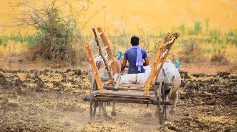 केंद्रीय बजट 2026-27 में गांव और ग्रामीण रोजगार पर भी फोकस