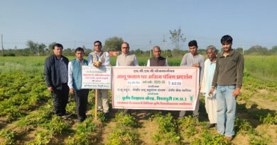 शिवपुरी में आलू की उन्नत किस्मों का हुआ प्रदर्शन, किसानों को मिली रोग प्रतिरोधी किस्मों व वैज्ञानिक खेती की जानकारी   