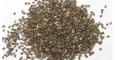 मध्यप्रदेश: किसानों के लिए “सफेद सोना” बनी चिया, कम लागत में हो रही शानदार कमाई