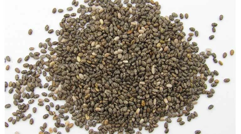 जबलपुर जिले में अच्छ कमाई का जरिया बनी चिया की खेती