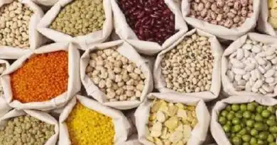 घटिया बीजों की बिक्री पर प्रभावी रोक लगाने के सख्त कानूनी कदम