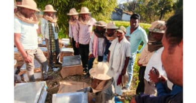 परागण योजना से कोरबा के किसानों की बदली किस्मत, अब मधुमक्खी पालन से सालाना कमा रहे 2 लाख तक की आमदनी  