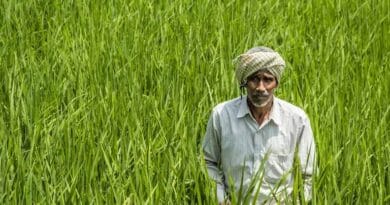 कृषक कल्याण वर्ष 2026: कृषि रथ से गांव-गांव जाकर आधुनिक यंत्रों और नरवाई प्रबंधन की दी गई जानकारी 