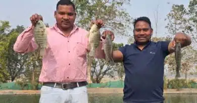बायोफ्लॉक तकनीक से सरगुजा के किसान की बदली तकदीर, खेती के साथ मत्स्य पालन से बढ़ी आय  