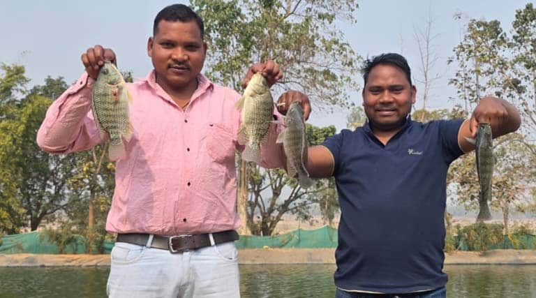 बायोफ्लॉक तकनीक से सरगुजा के किसान की बदली तकदीर, खेती के साथ मत्स्य पालन से बढ़ी आय