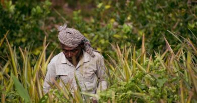 मध्यप्रदेश: किसान हैप्पी, सुपर और स्मार्ट सीडर पर अनुदान के लिए 1 मार्च तक करें आवेदन  