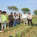 कृषक कल्याण वर्ष 2026: एमपी में कृषक ग्राम सभाओं में किसानों को दी जा रही है उन्नत खेती की जानकारी