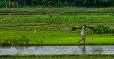 मंदसौर में हर रविवार लगेगा जैविक हाट बाजार, किसानों को मिलेगा सीधा मंच  