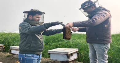 विदिशा जिले में मधुमक्खी पालन से किसानों के जीवन में घुली मिठास