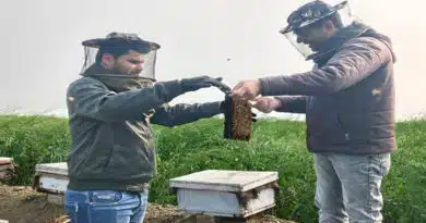 विदिशा जिले में मधुमक्खी पालन से किसानों के जीवन में घुली मिठास