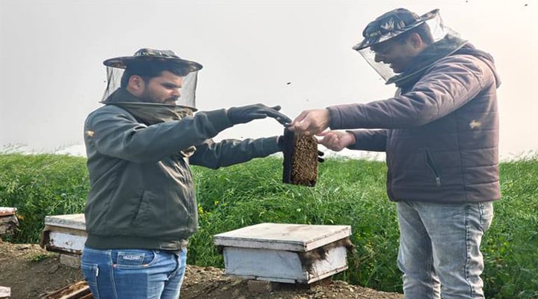 विदिशा जिले में मधुमक्खी पालन से किसानों के जीवन में घुली मिठास