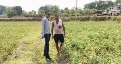 राष्ट्रीय बागवानी मिशन से किसानों को संबल: उन्नत तकनीक से टमाटर खेती में बढ़ा उत्पादन और मुनाफा  