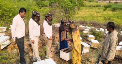 मुरैना में हनी बॉक्स प्रबंधन पर दिया गया विशेष प्रशिक्षण, किसानों को सिखाई गई शहद उत्पादन की बारीकियां