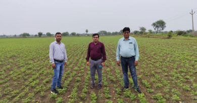 उन्नत बीज और वैज्ञानिक तकनीक ने बदली किसान की तकदीर, मूंगफली की खेती से कमाए 1.18 लाख