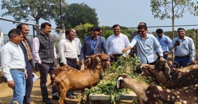 मध्यप्रदेश:  कृषि और पशुपालन किसानों के लिए बनते जा रहे हैं लाभकारी और टिकाऊ व्यवसाय  