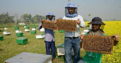 कम लागत में बड़ा मुनाफा: मधुमक्खी पालन पर राजस्थान सरकार दे रही 40% तक सब्सिडी, जानें पूरी आवेदन प्रक्रिया कम लागत में बड़ा मुनाफा: मधुमक्खी पालन पर राजस्थान सरकार दे रही 40% तक सब्सिडी, जानें पूरी आवेदन प्रक्रिया