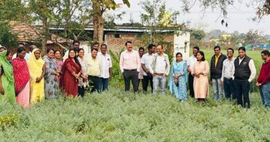छिंदवाड़ा जिले के ग्राम मारई में महिला कृषक के खेत पहुंचे अधिकारी, चना-गेहूं फसल प्रदर्शन का लिया जायजा