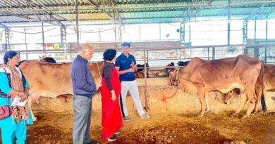 जबलपुर के तन्मय 24 लाख का पैकेज ठुकराकर बने किसान, अब हर माह कमा रहे 80 हजार का शुद्ध मुनाफा  