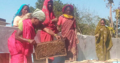 रायपुर: शहद की मिठास से कमाई में हुआ इजाफा, मधुमक्खी पालन से महिला समूह ने लिखी सफलता की नई कहानी   