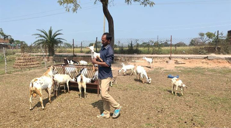 मध्यप्रदेश: 15 हजार से शुरू की खेती, बकरी पालन और फूल-सब्जी से आज लाखों कमा रहे दतिया के संजू अहिरवार