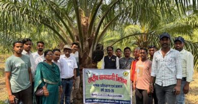 ओडिशा में ऑयल पाम का मॉडल देख छत्तीसगढ़ के किसान हुए प्रेरित, अब प्रति एकड़ 2 लाख तक की कर रहे कमाई 