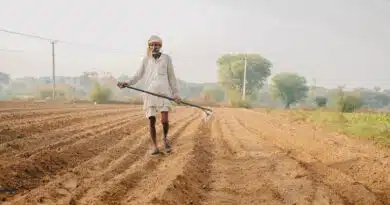 केंद्र ने मध्य प्रदेश, पंजाब और तेलंगाना में पंचायती राज संस्थाओं को मजबूत करने के लिए ₹1,133 करोड़ से अधिक की XV वित्त आयोग अनुदान राशि जारी की