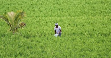 ग्रीष्मकालीन बुवाई 2026 की शुरुआत सकारात्मक; 20 फरवरी तक 21.30 लाख हेक्टेयर क्षेत्र में बुवाई ग्रीष्मकालीन बुवाई 2026 की शुरुआत सकारात्मक; 20 फरवरी तक 21.30 लाख हेक्टेयर क्षेत्र में बुवाई