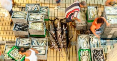 वैश्विक मत्स्य और जलीय कृषि क्षेत्र में मछली धोखाधड़ी व्यापक, 20% व्यापार प्रभावित