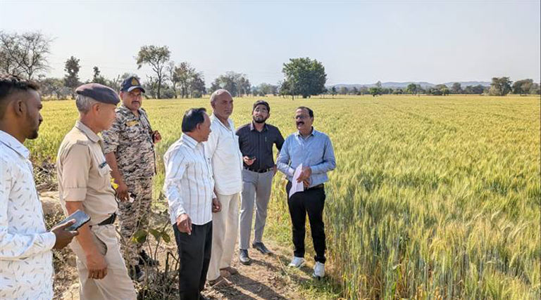 प्रभारी कलेक्टर ने मौके पर फसल पंजीयन का किया सत्यापन